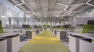 爱普生打印机eco模式是什么东西？