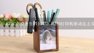 EPSON爱普生PHOTO R230打印机驱动怎么安装？