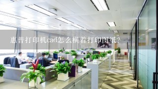 惠普打印机cad怎么横着打印图纸？