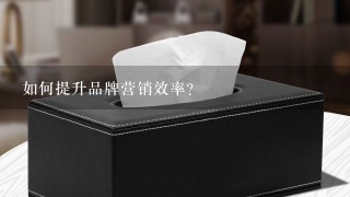 如何提升品牌营销效率?